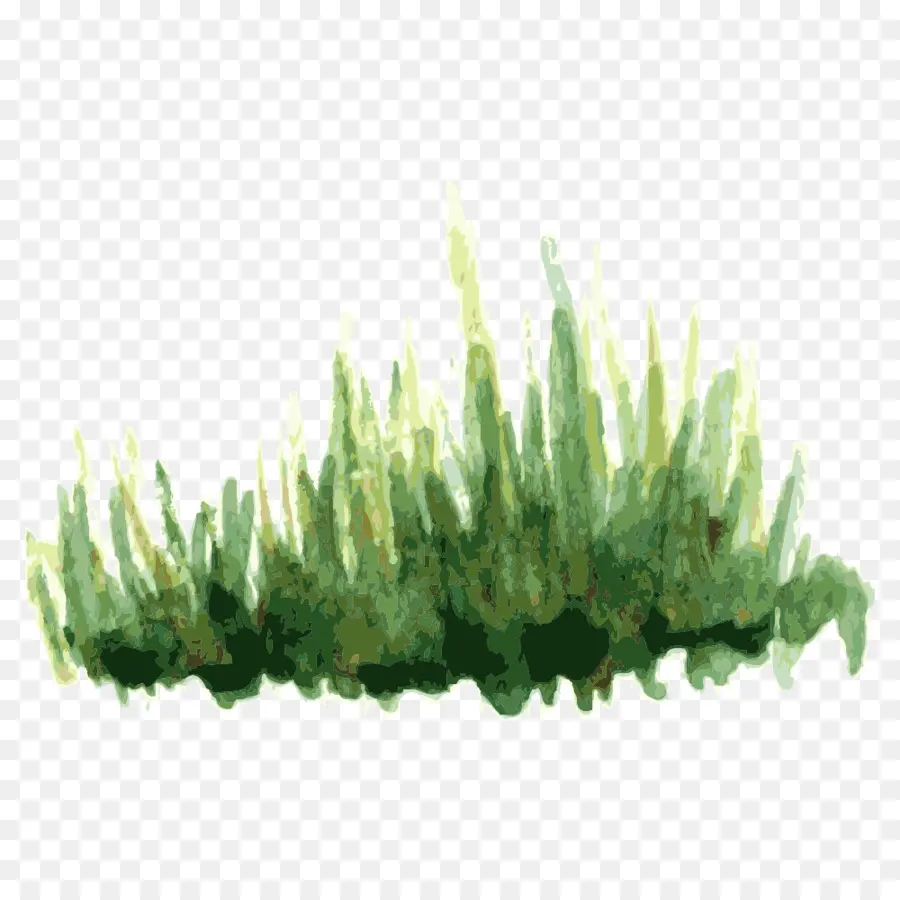 Césped，Verde PNG