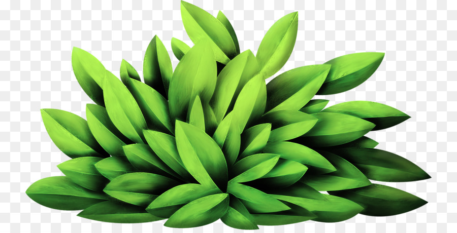 Planta，Descargar PNG