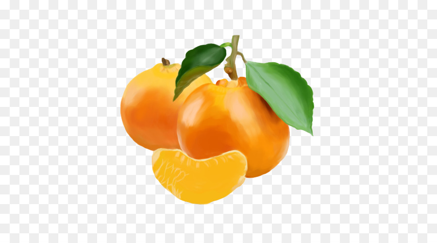 Mandarina，Pintura Al óleo PNG