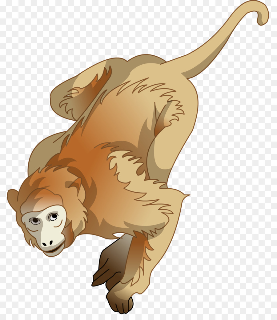 León，Macaco PNG