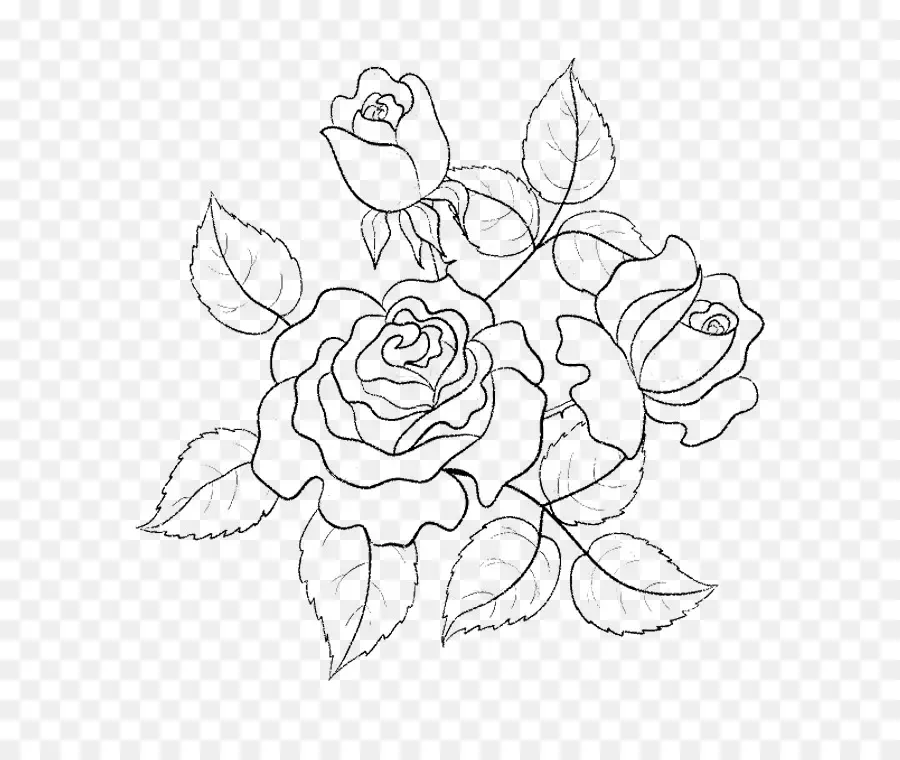 Rosa，Flor PNG