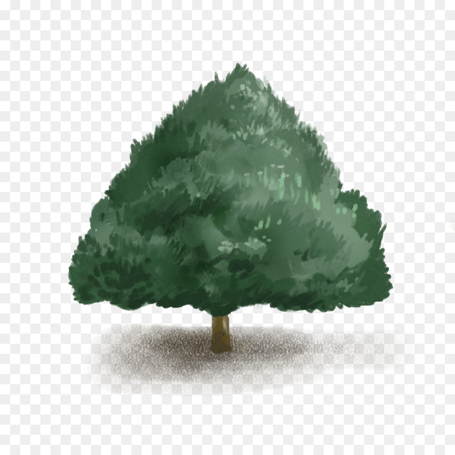 Verde，árbol PNG