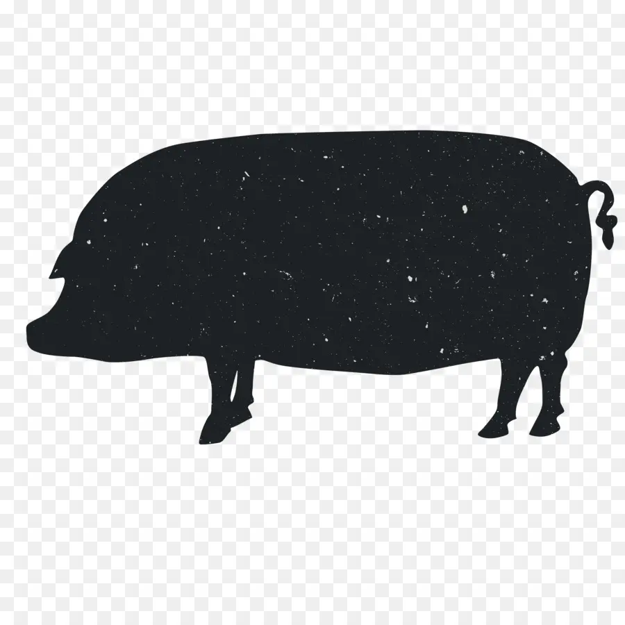 Cerdo Doméstico，Silueta PNG