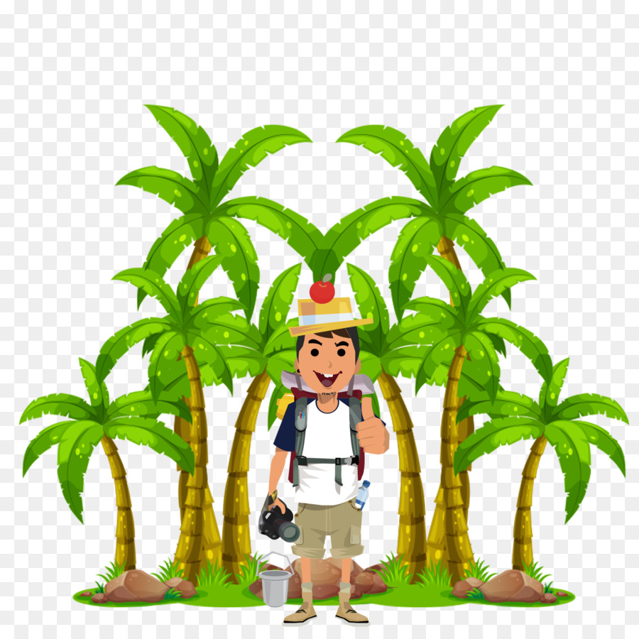 Coco，árbol PNG