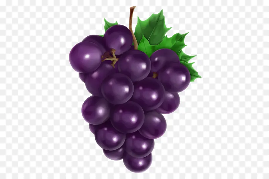 Uvas Moradas，Enredadera PNG