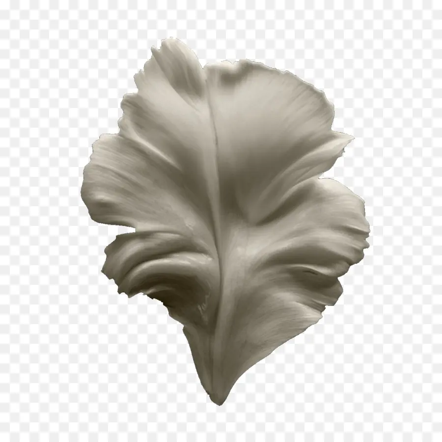 Tulip，Pétalo PNG