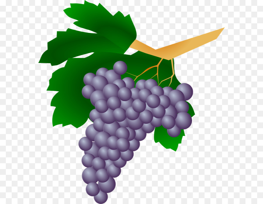 Común De La Uva De La Vid，Vino PNG