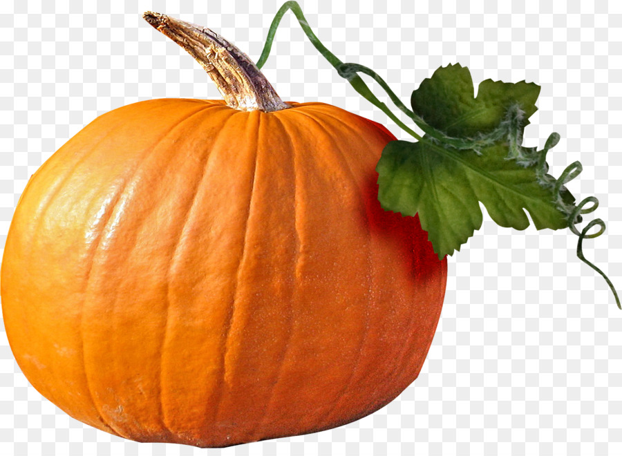 Calabaza，Cucurbita PNG