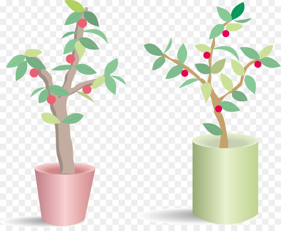 Plantas En Macetas，Hojas PNG