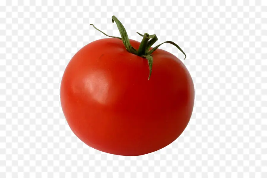 Bush Tomate，Tamaño De La Porción PNG