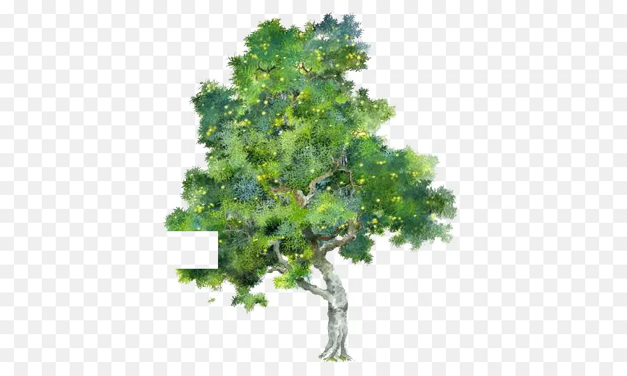 árbol，Pintura PNG