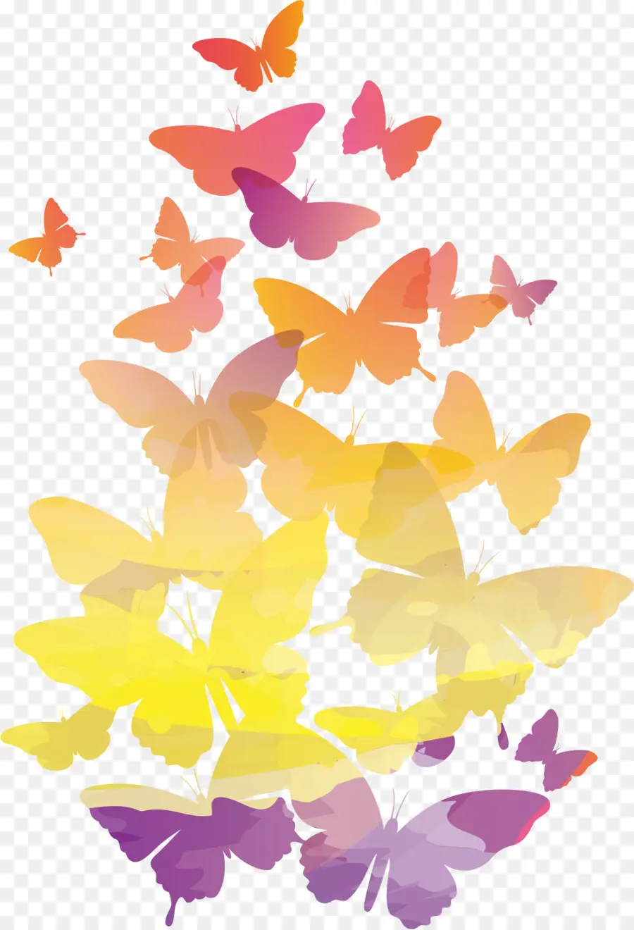 Mariposas Coloridas，Mariposas PNG