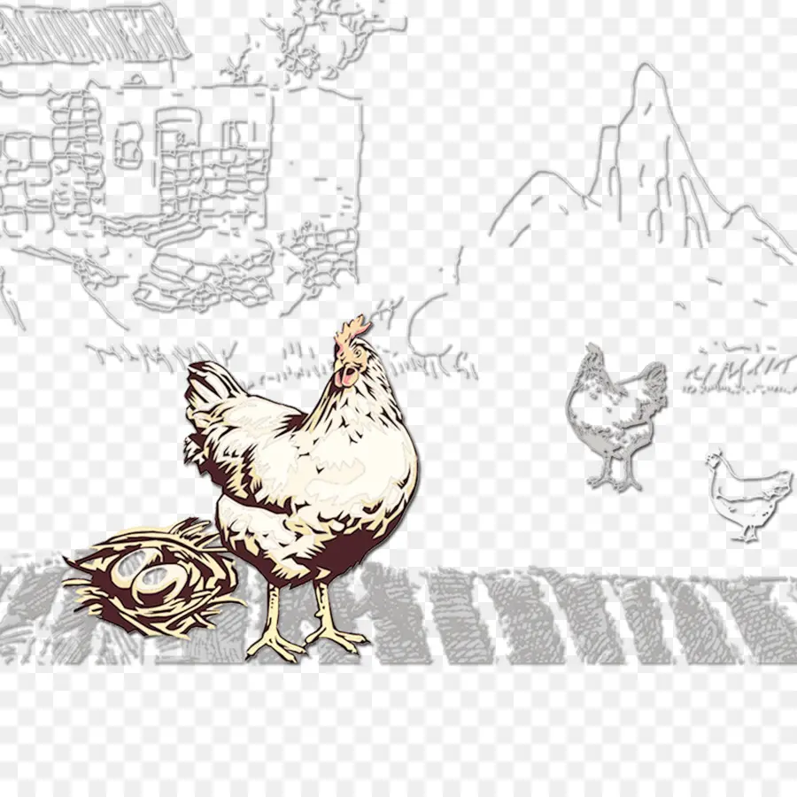 Gallo，Pollo PNG