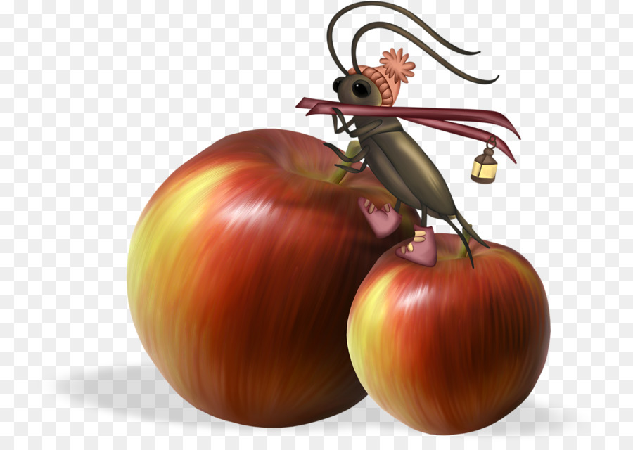 Fresa，Apple PNG