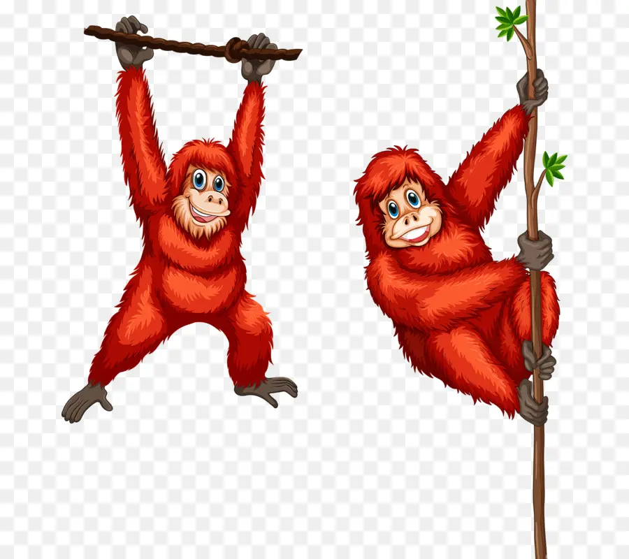 Orangután，Royaltyfree PNG