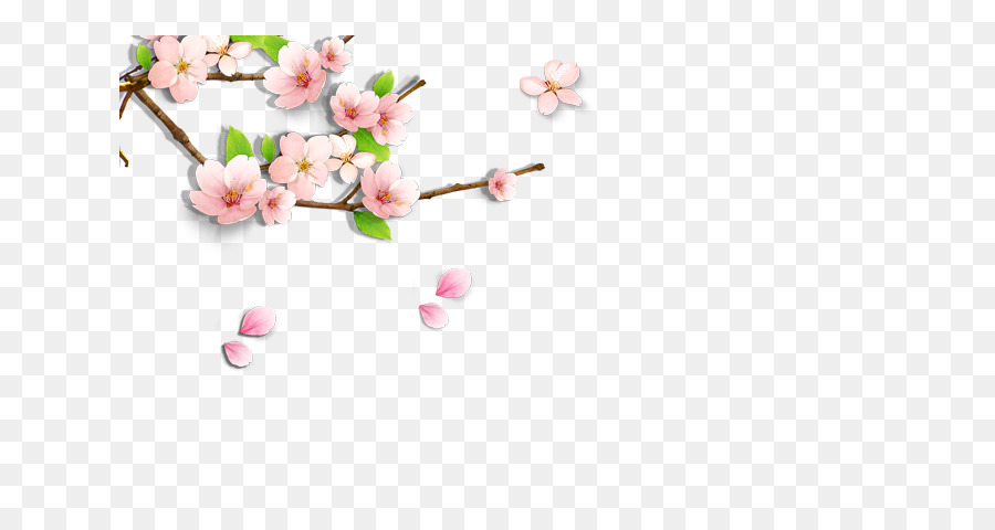 Fondo Floral，Flores PNG