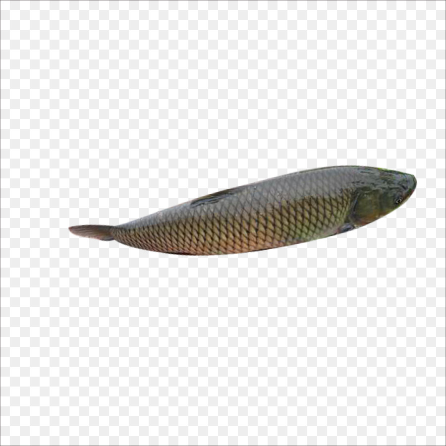 Los Peces，Descargar PNG