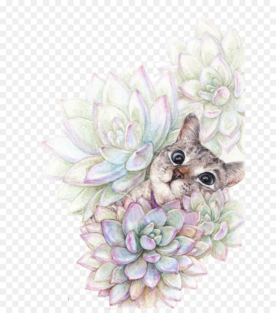 Gato，Planta Suculenta PNG