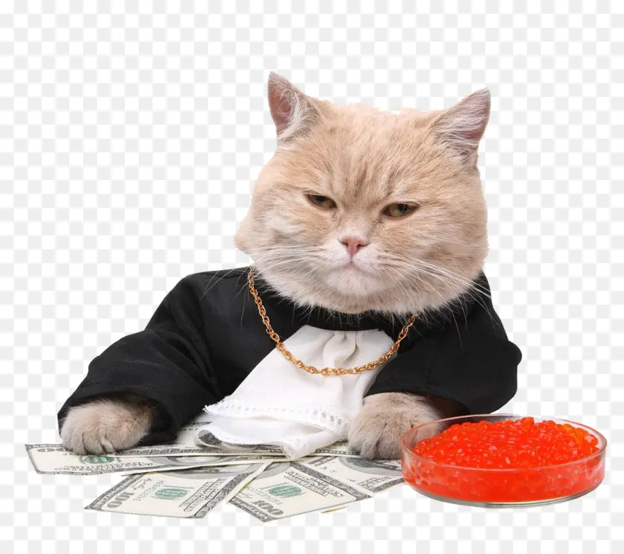 Gato Con Dinero，Rico PNG