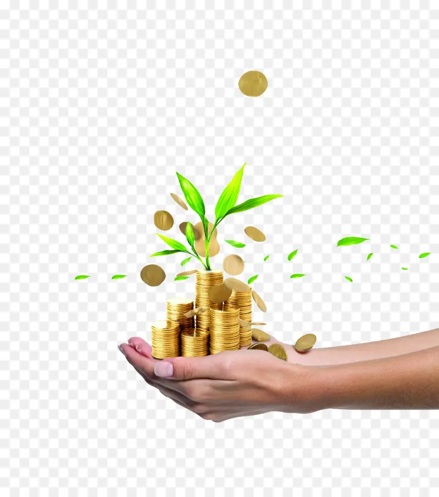 Mano Sosteniendo Monedas Y Planta，Dinero PNG