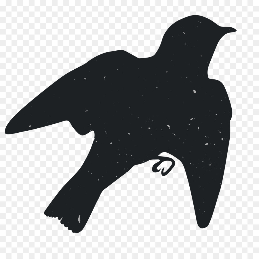 Silueta De Pájaro，Vuelo PNG