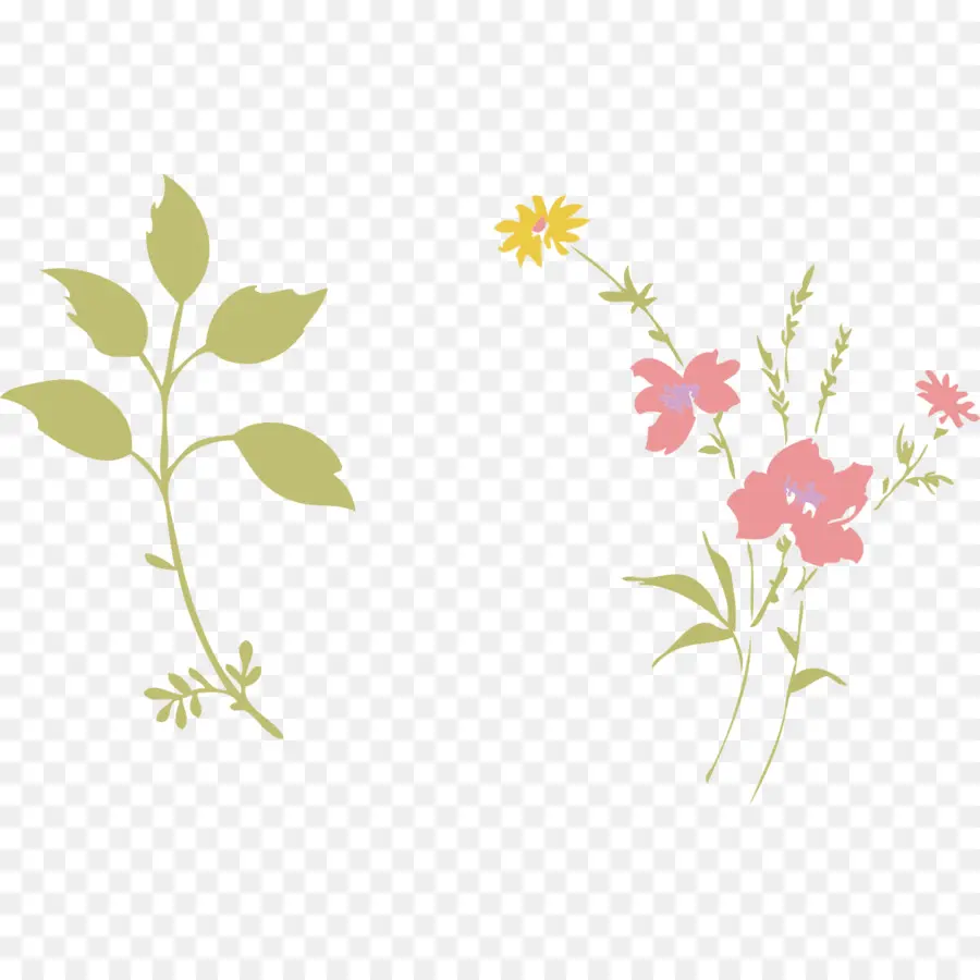 Ilustraciones Florales，Hojas PNG