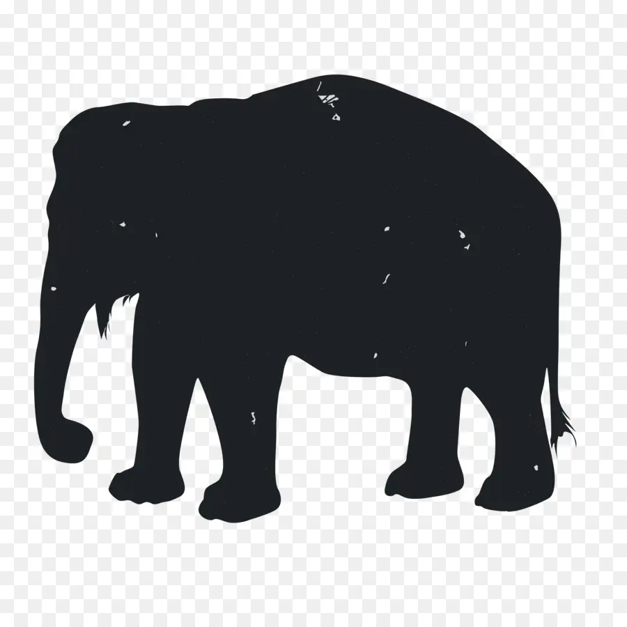 Silueta De Elefante，Fauna PNG