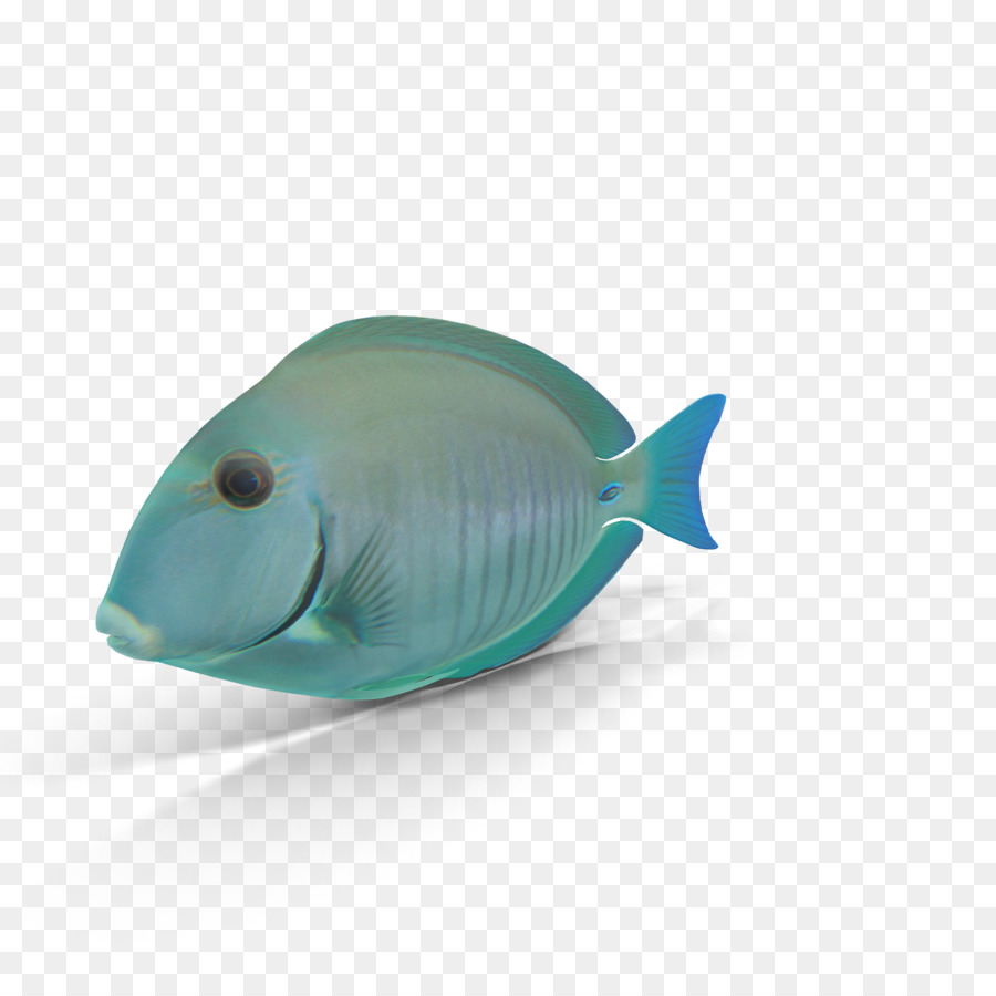 Pescado Azul，Acuático PNG