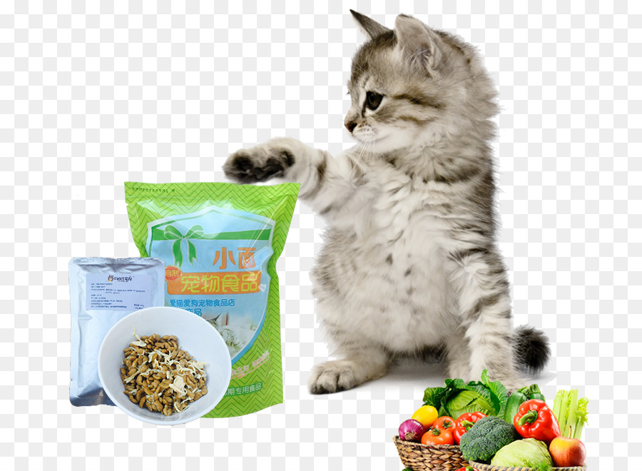 Gatito Con Comida，Alimento PNG