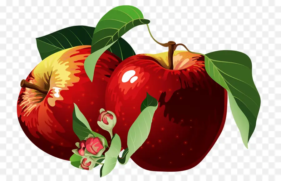 Apple，Rojo PNG