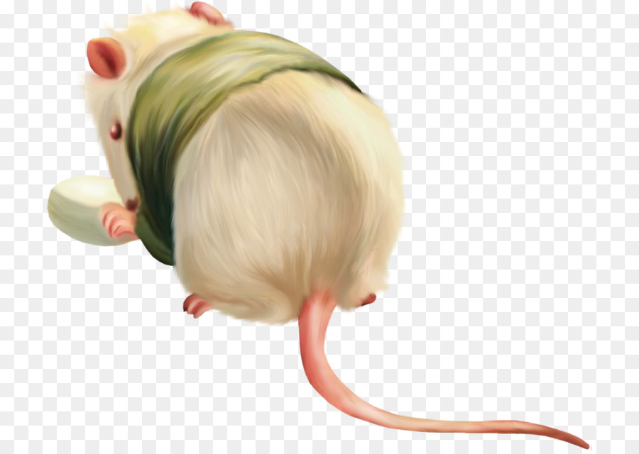 El Ratón De La Computadora，Roedores PNG