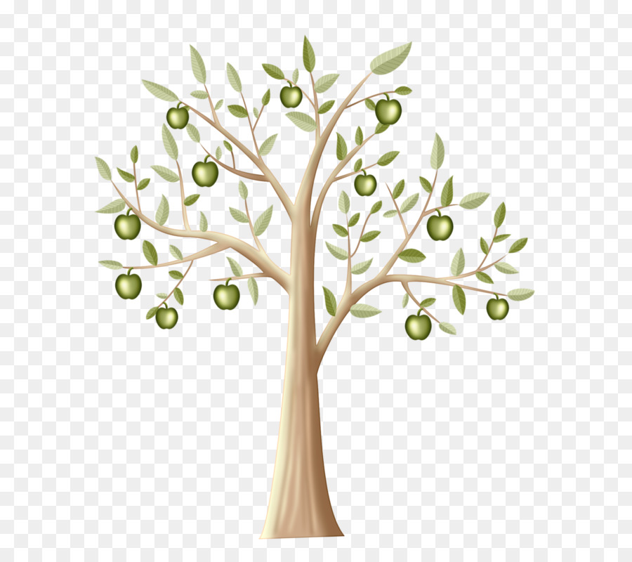 Árbol，Manzanas Verdes PNG