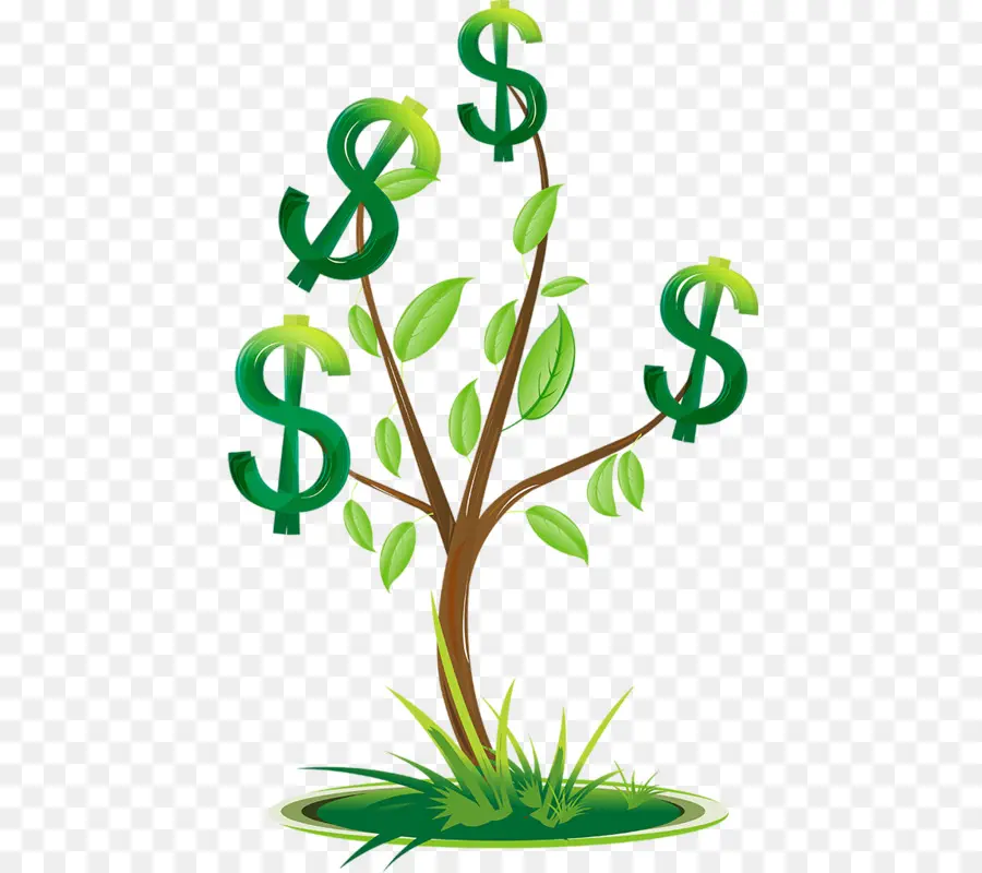 árbol Del Dinero，Finanzas PNG