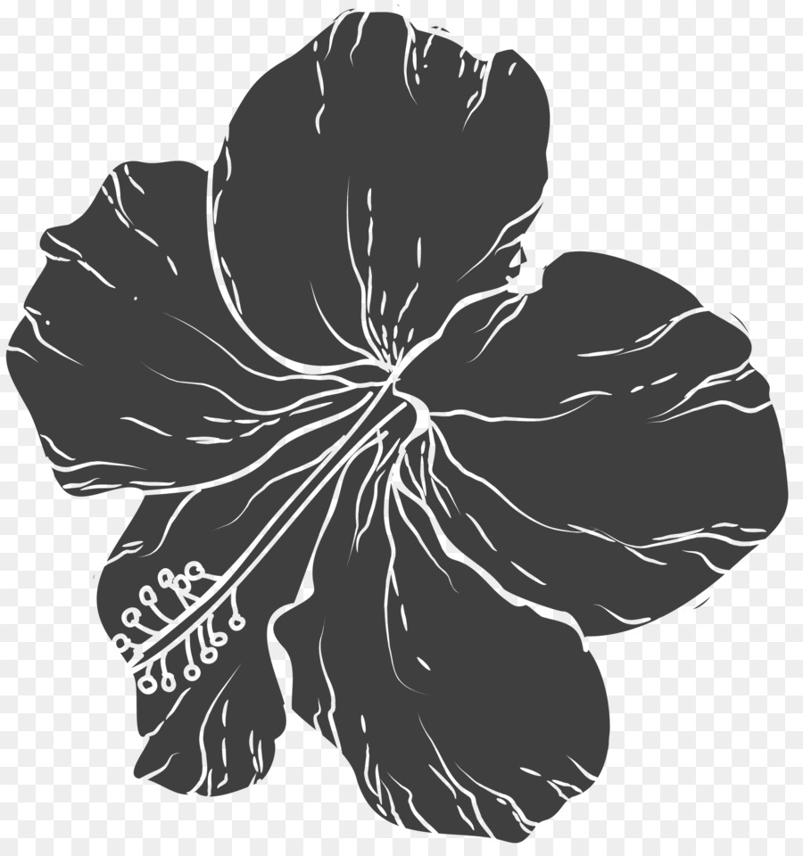 En Blanco Y Negro，Flor PNG