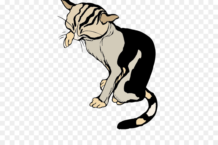 Gato De Dibujos Animados，Felino PNG