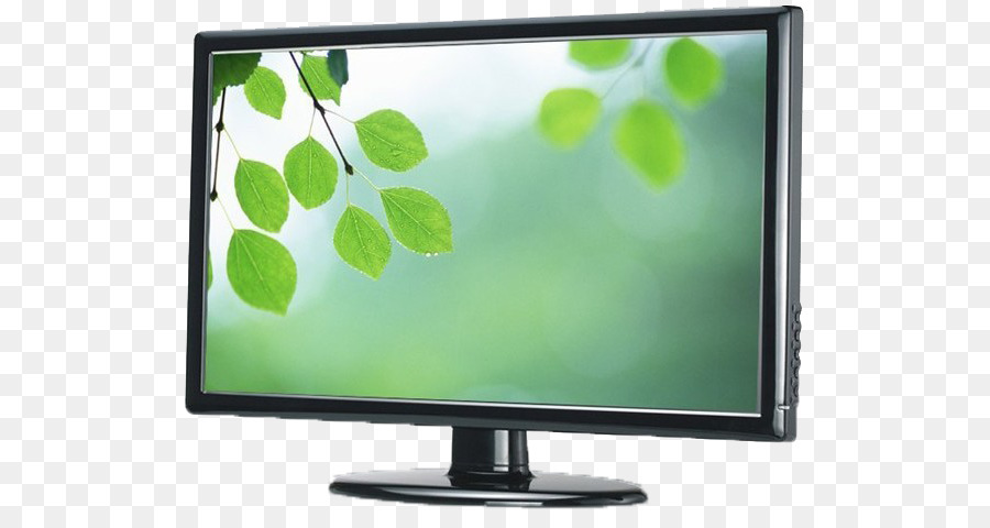 Monitor Con Hojas Verdes，Pantalla PNG