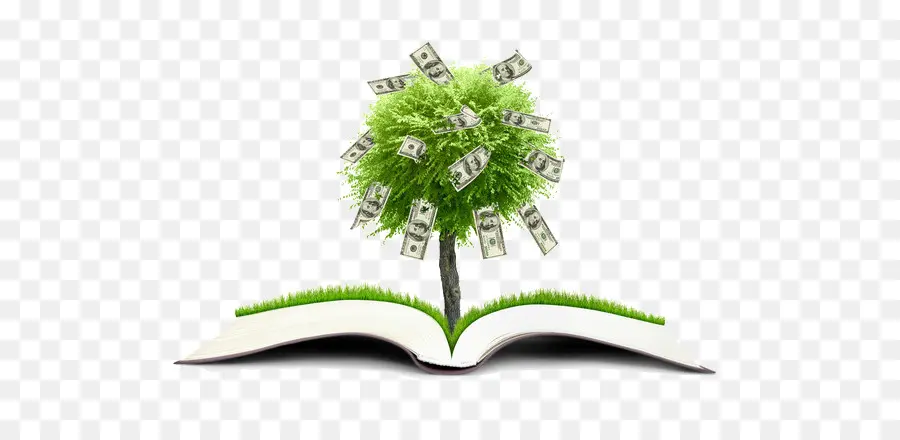 Libro Abierto，árbol Del Dinero PNG