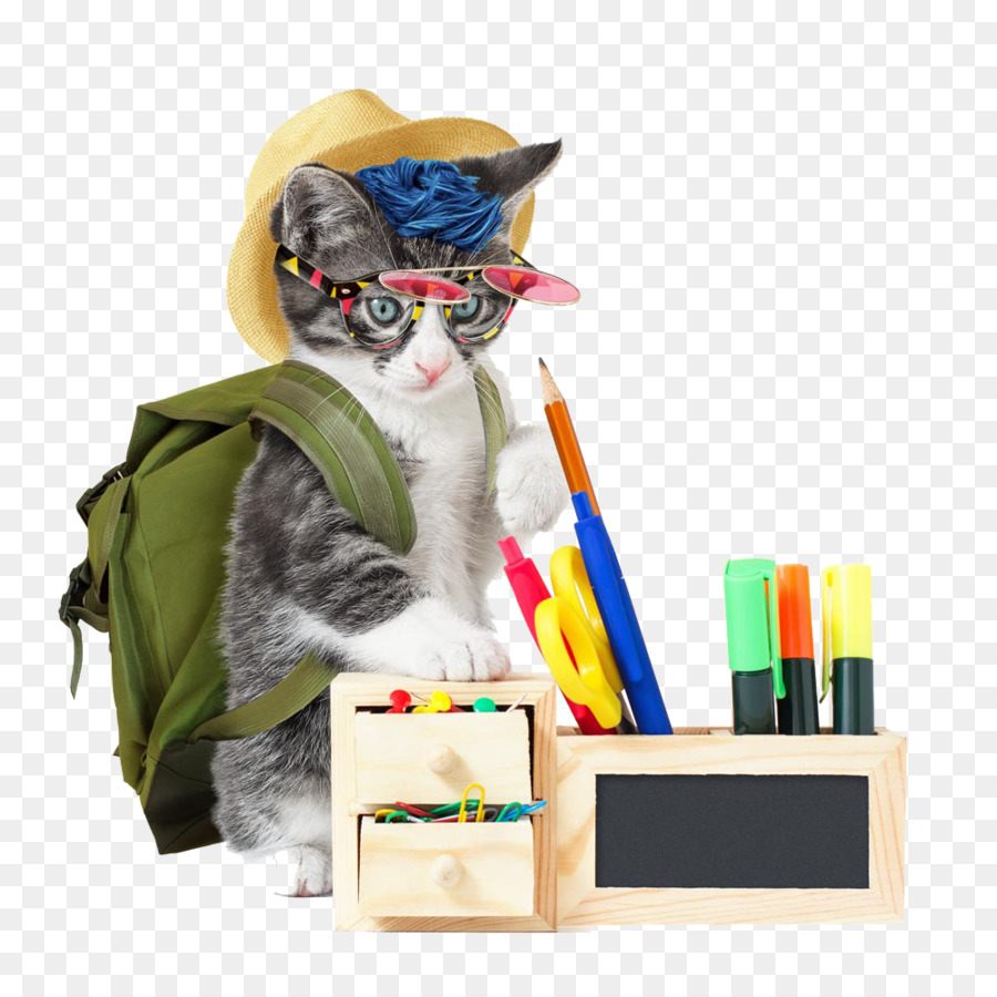 Gato Con útiles Escolares，Escuela PNG