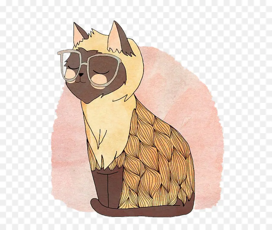 Gato Con Gafas，Anteojos PNG