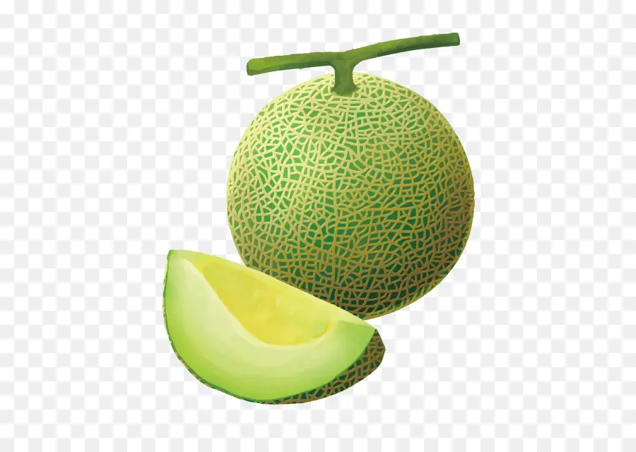 Melón，Rebanadas PNG