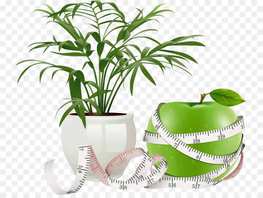 Maceta，Planta PNG