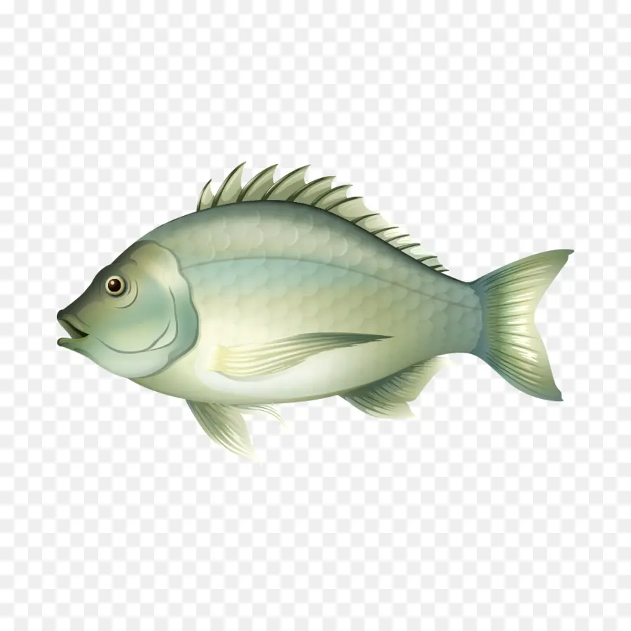 Pez，Pesca PNG