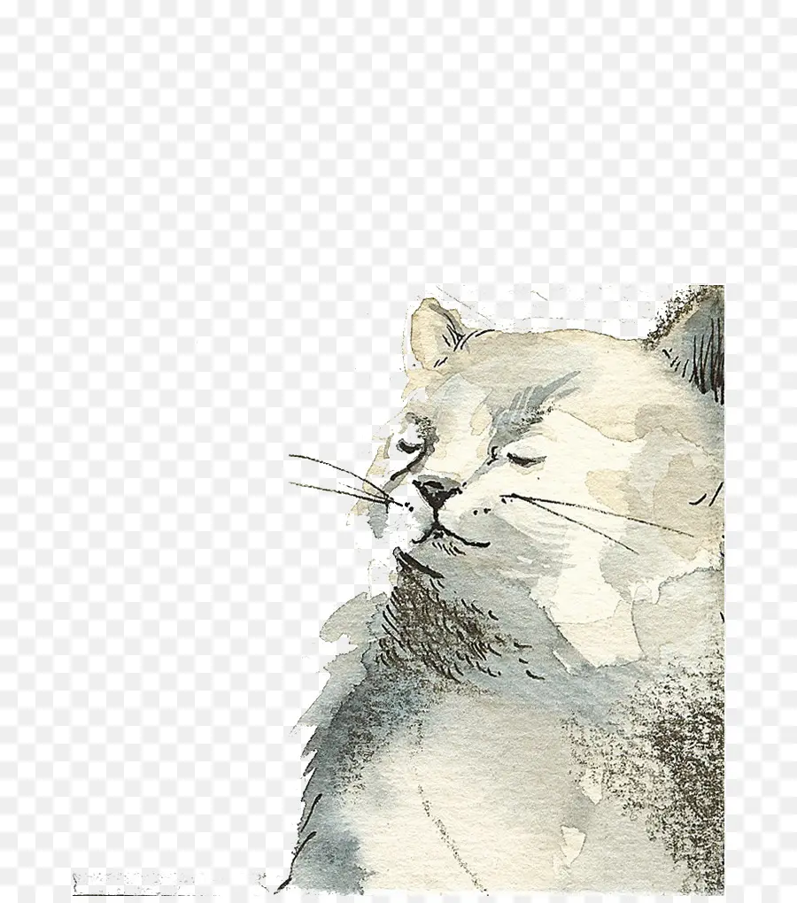 Gato Acuarela，Cuadro PNG