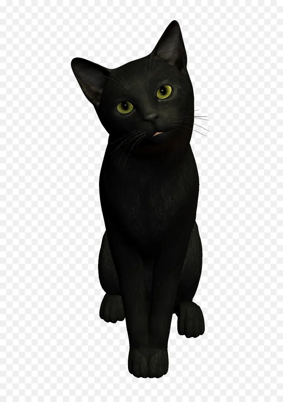 Gato Negro，Mascota PNG