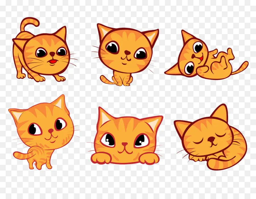 Gatos，Gatitos PNG