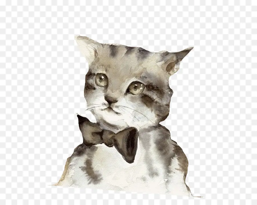 Gato Siamés，Gatito PNG