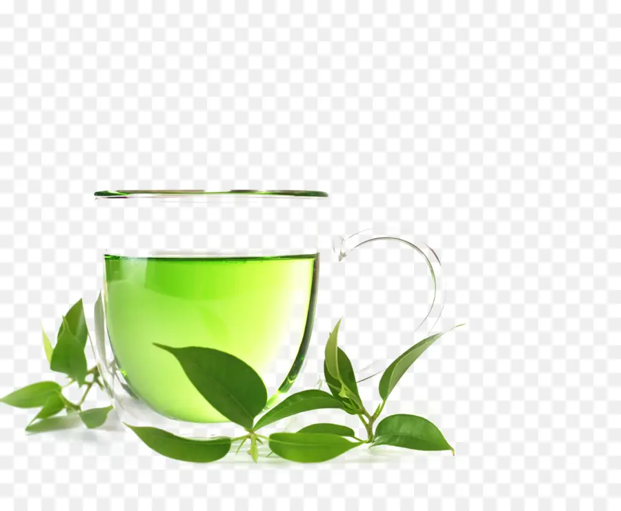 Té，Té Verde PNG