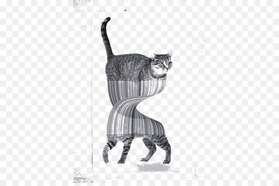 Gato Distorsionado，Abstracto PNG