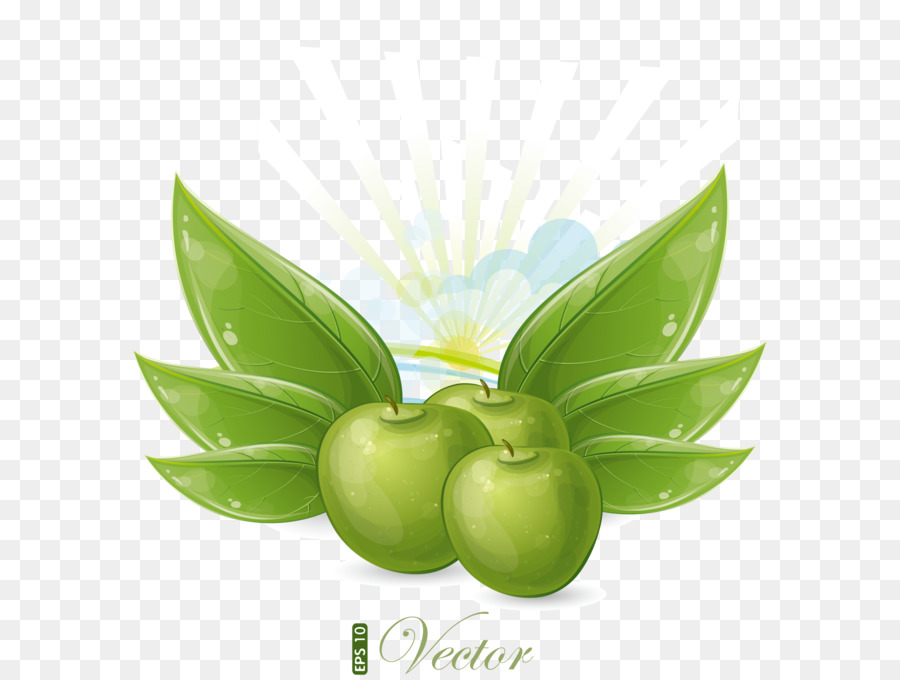 Verde，Apple PNG