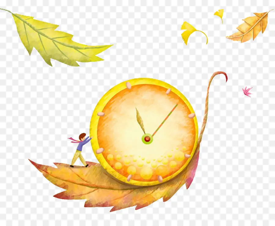 Hoja，Reloj PNG